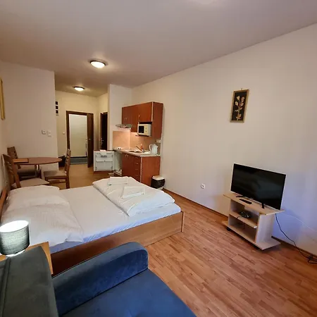 Fatrapark 2 House Lägenhetshotell Ruzomberok